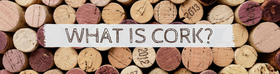 What is Cork