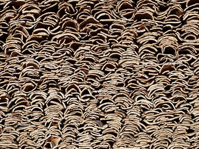 Cork Bark Drying In The Sun